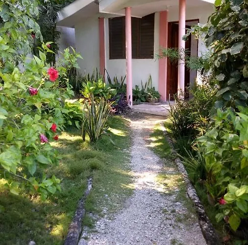 Resort Aloha Oslob